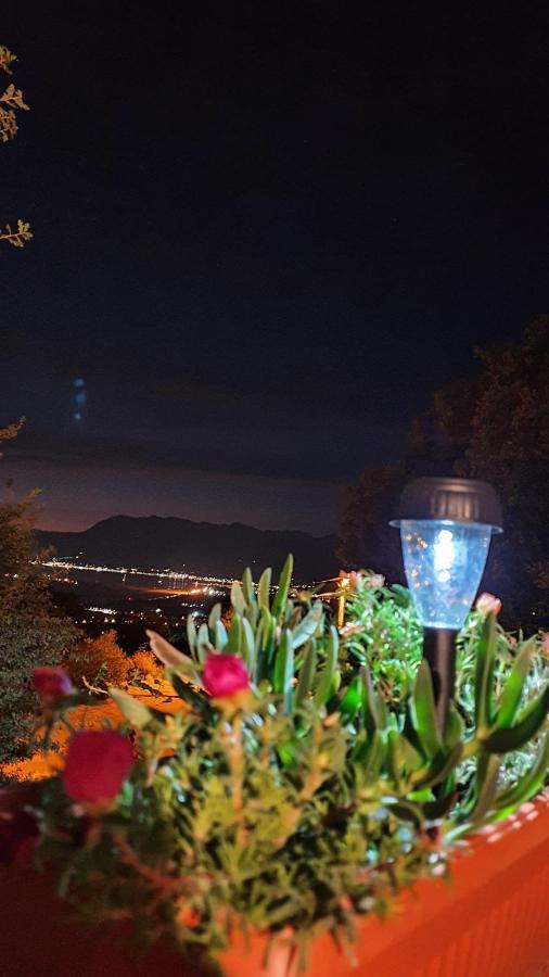 Apartment Jelena Sutvara Kotor Eksteriør bilde